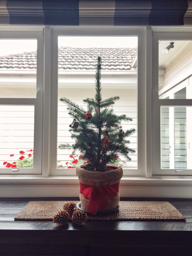 How Winter Indoor Plants Bring Joy and Promote Wellness