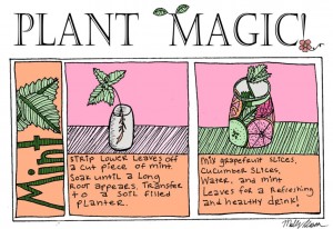 Plant Magic!