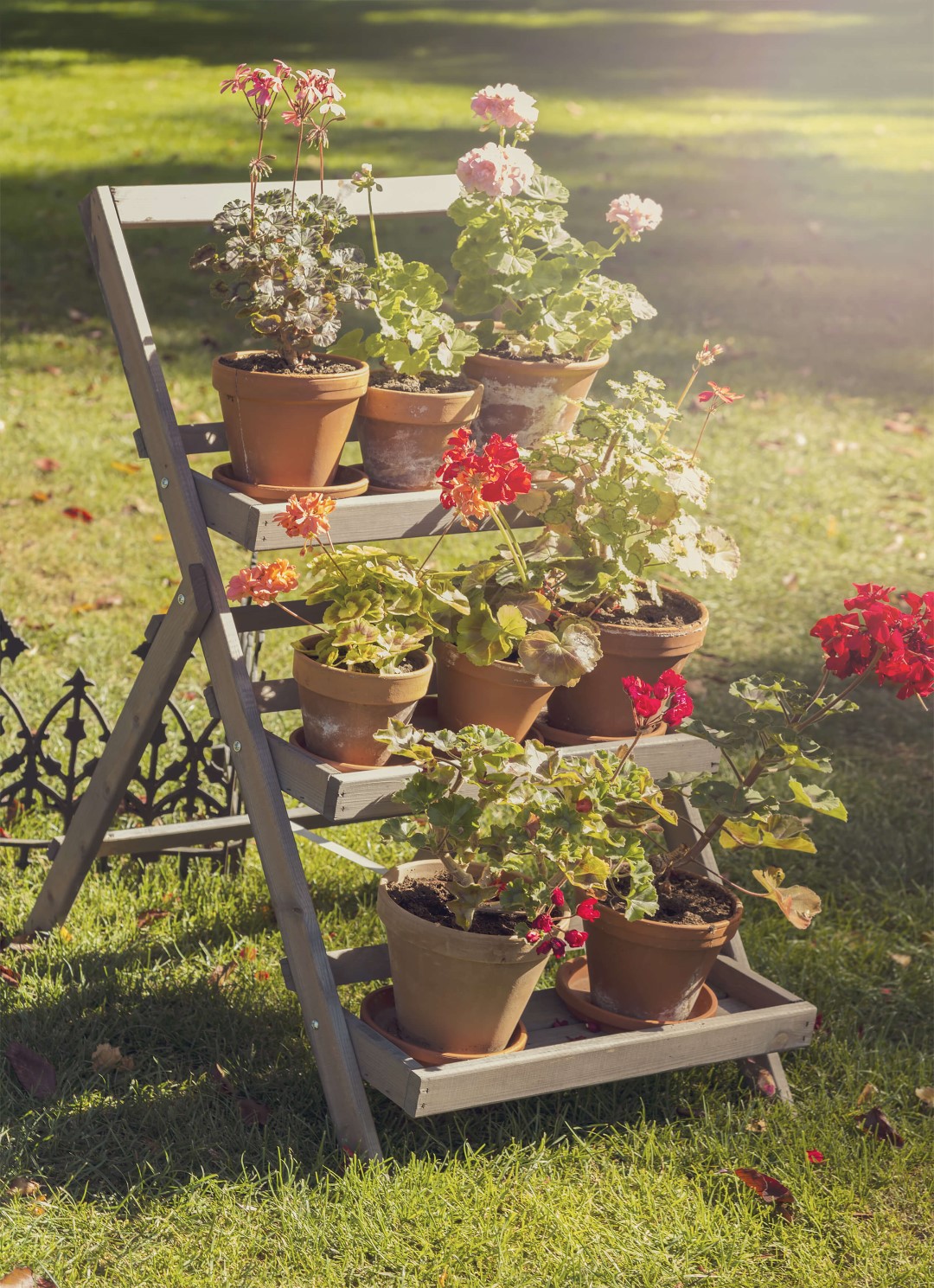 Step Ladder Plant Stand Large 