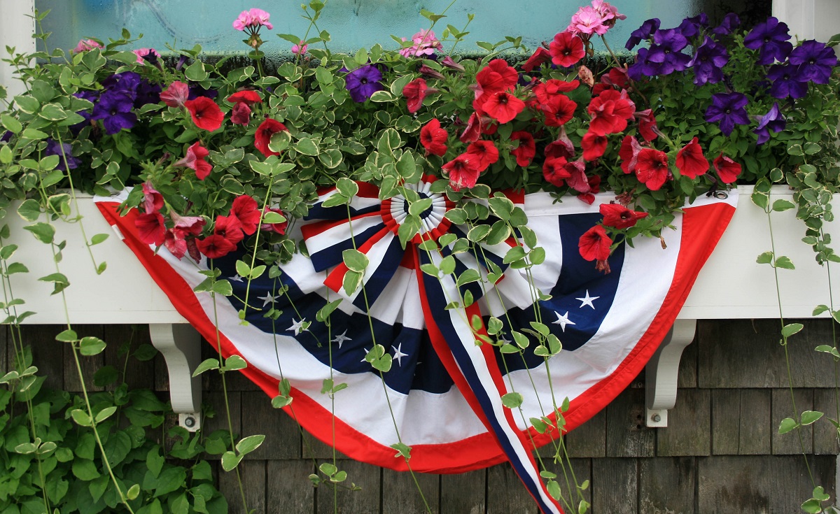 Top 4th of July Flower Options for Red, White & Blue Blooms