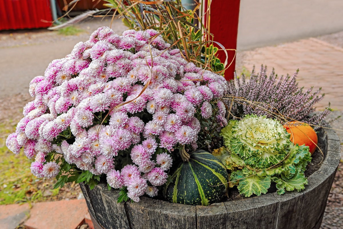 How to Prep Your Container Garden for Fall