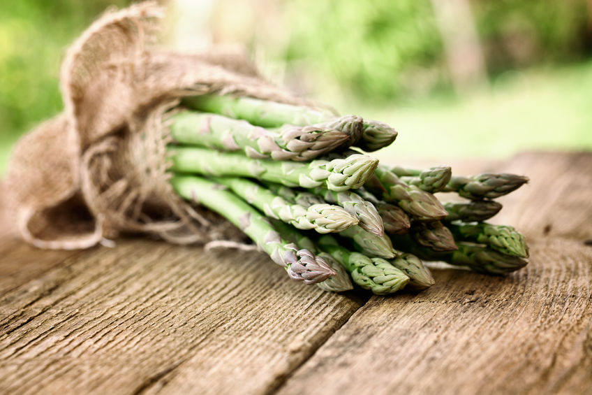 asparagus winter garden