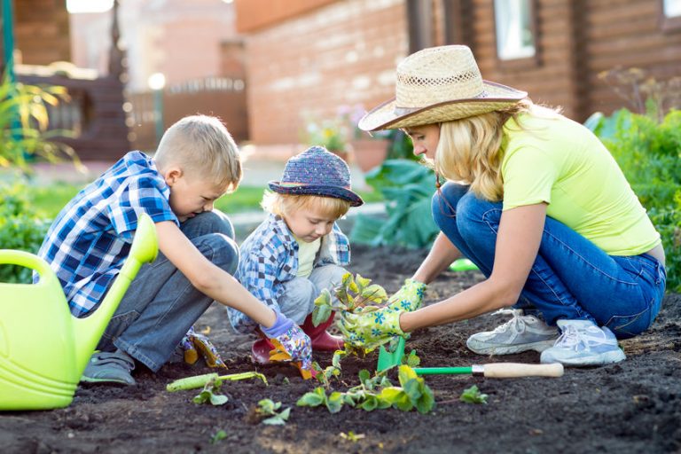 Back-to-School Harvest: Getting Started