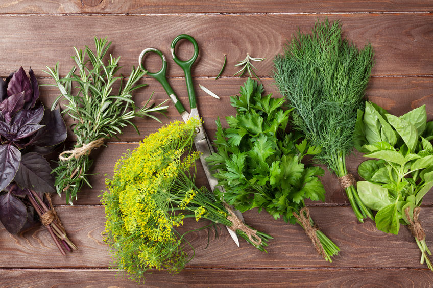 garden herbs